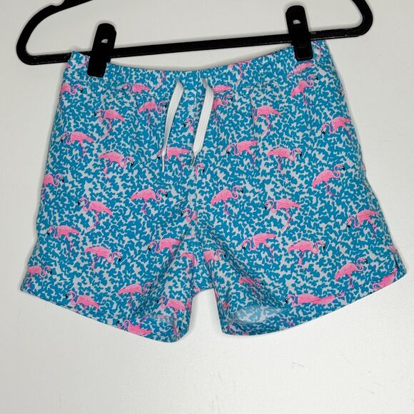 Chubbies Domingos Are For Flamingos Lined Swim Trunks Boys' Size 10-12 Medium - Picture 1 of 8